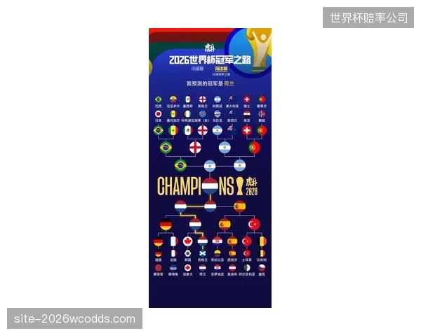 荷兰队整体身价位居世界前列，橙衣军团将是任何小组的强劲对手。